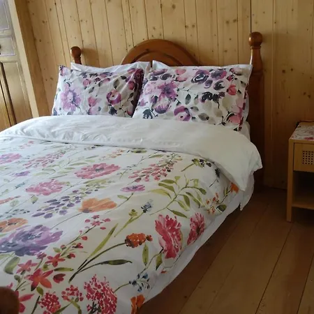 Superbe Cosy Et Rustique - Acces Piscine En Haute Saison 아파트 Lisle-sur-Tarn
