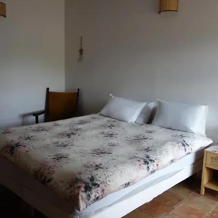 Superbe Cosy Et Rustique - Acces Piscine En Haute Saison 아파트 Lisle-sur-Tarn